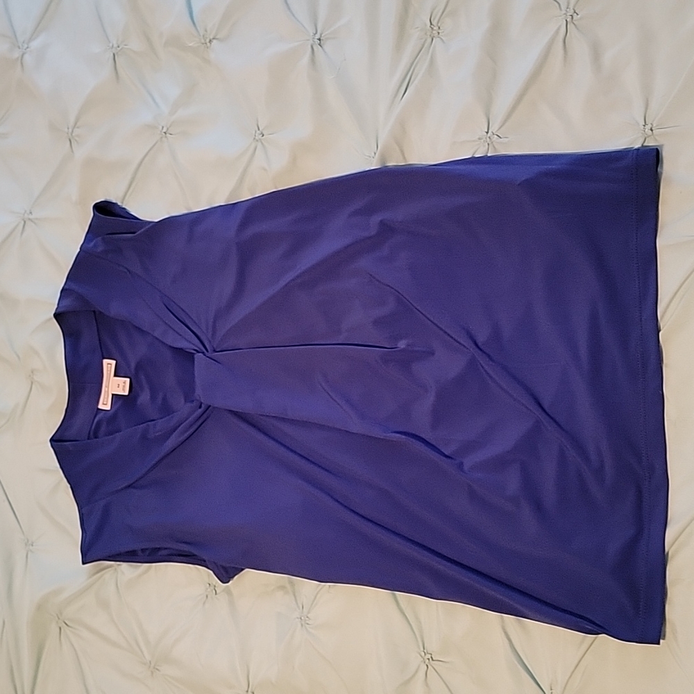 Dana Buchman SZ M blue blouse